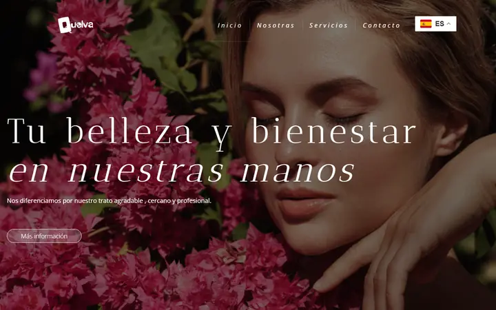 Portada de quelva.com, estética
