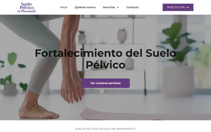 Portada de suelopelvicoalcalaenmovimiento.com, fisioterapia